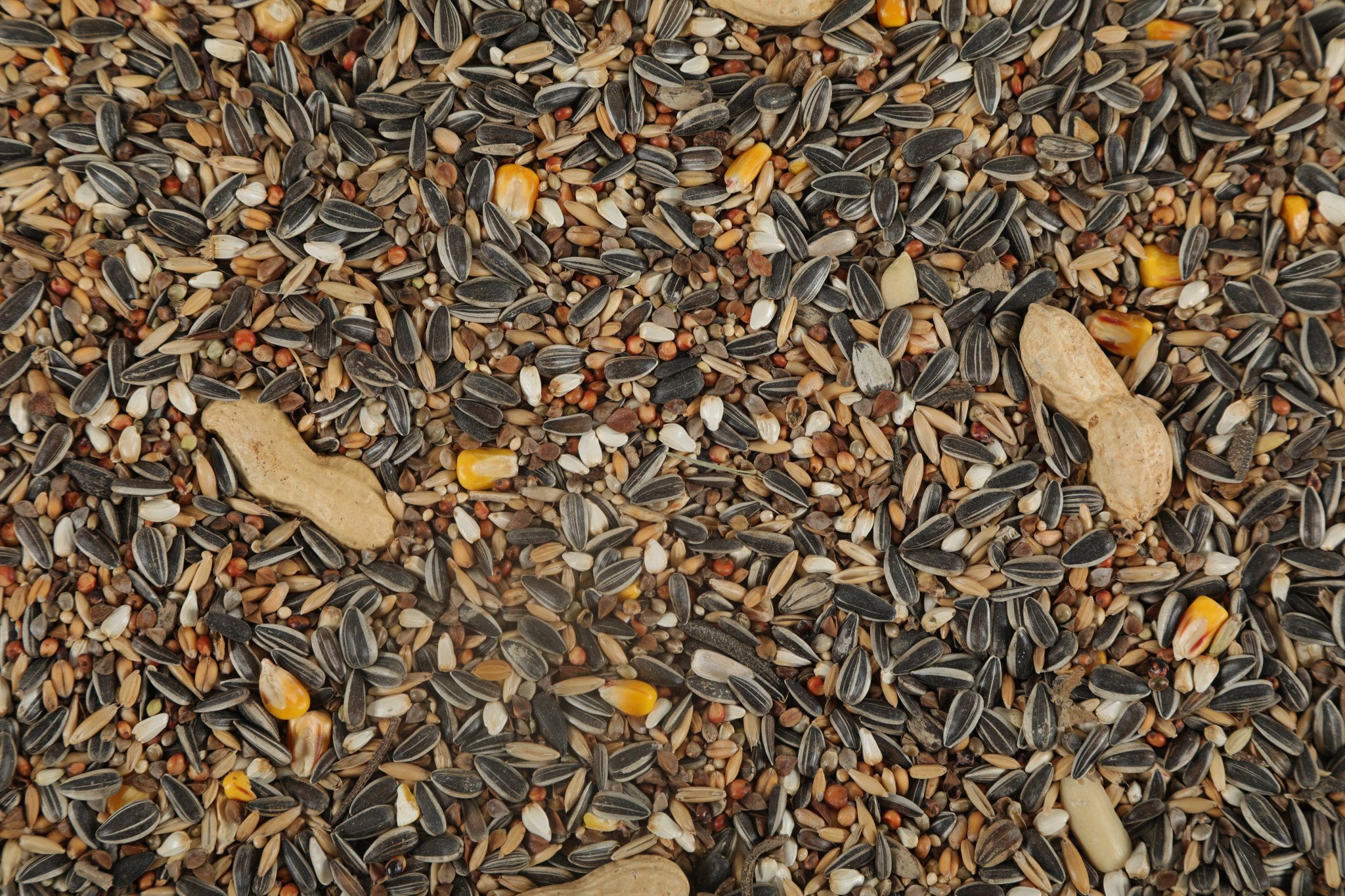 My project-1(42).png