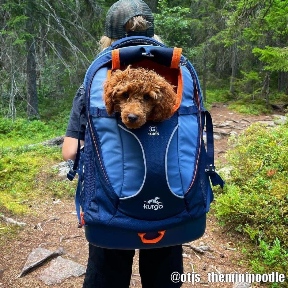 kurgo-g-train-dog-carrier-backpack-13934_940x.jpg