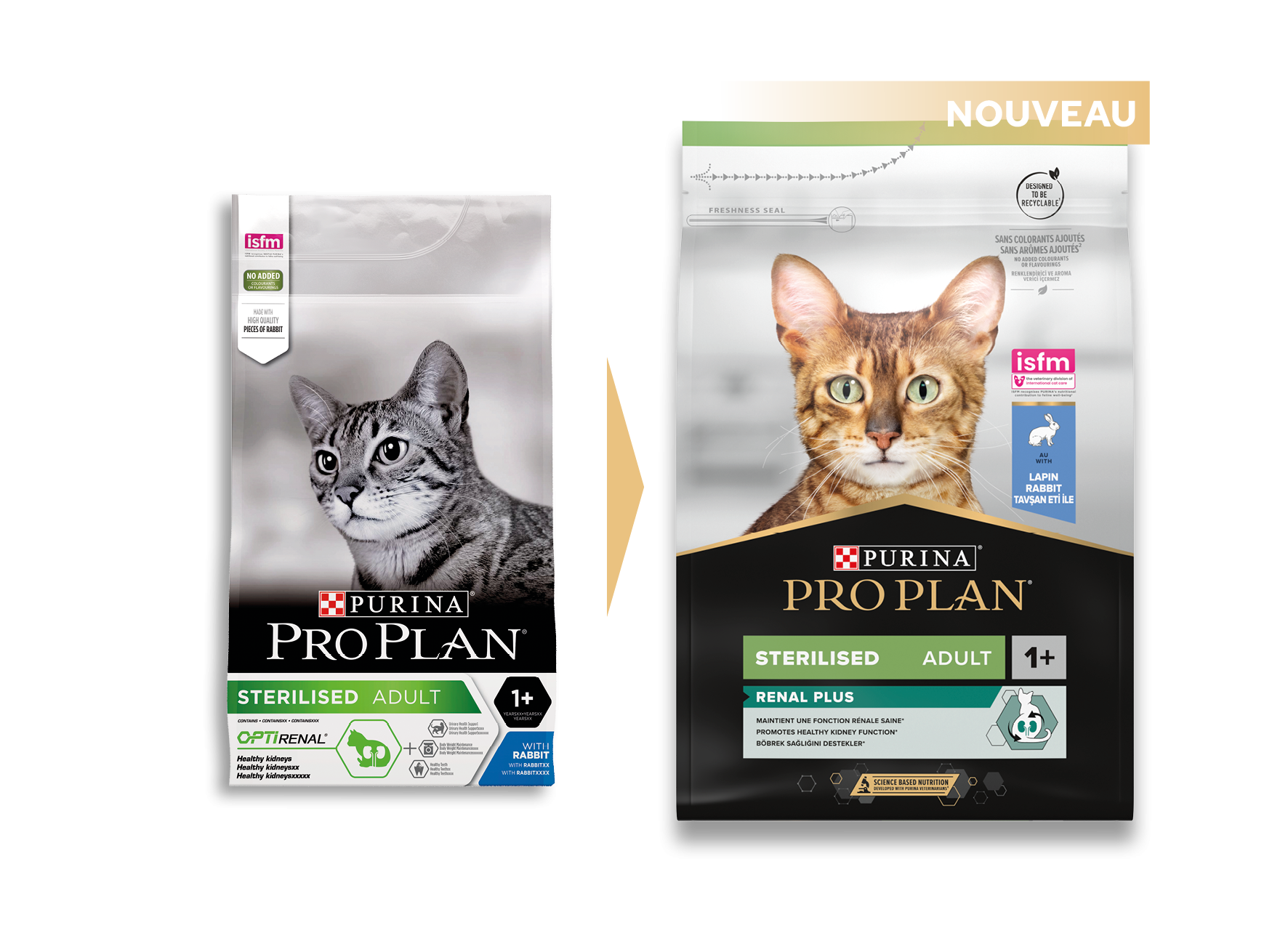 14956-PACKS_CHAT_ANCIEN-NOUVEAU_2022_ 6_7613033560002.png
