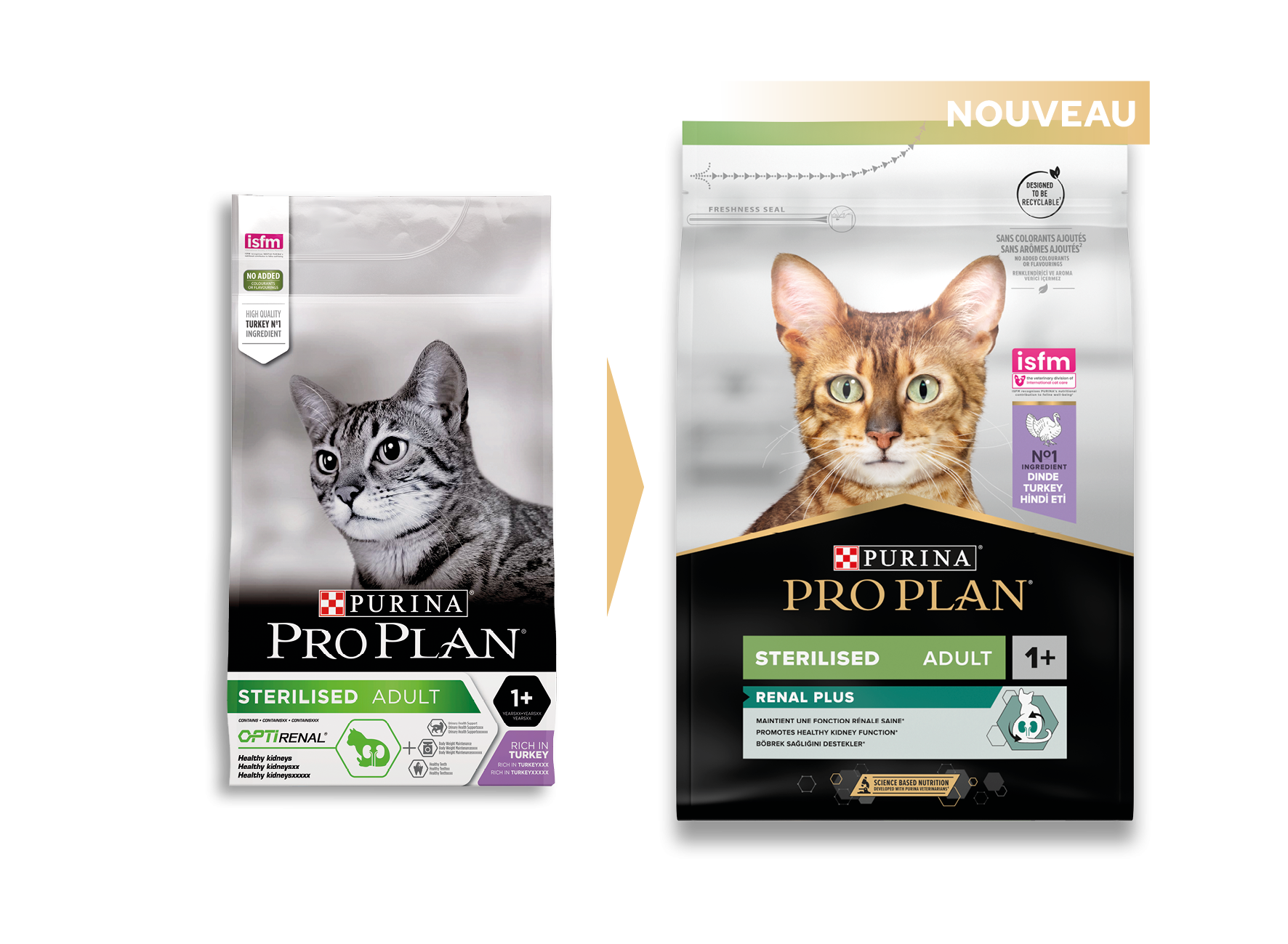 14956-PACKS_CHAT_ANCIEN-NOUVEAU_2022_ 5_7613033560033.png