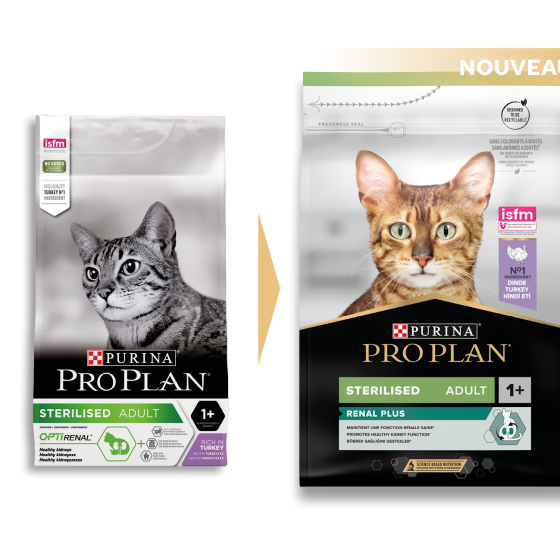 14956-PACKS_CHAT_ANCIEN-NOUVEAU_2022_ 5_7613033560033.png