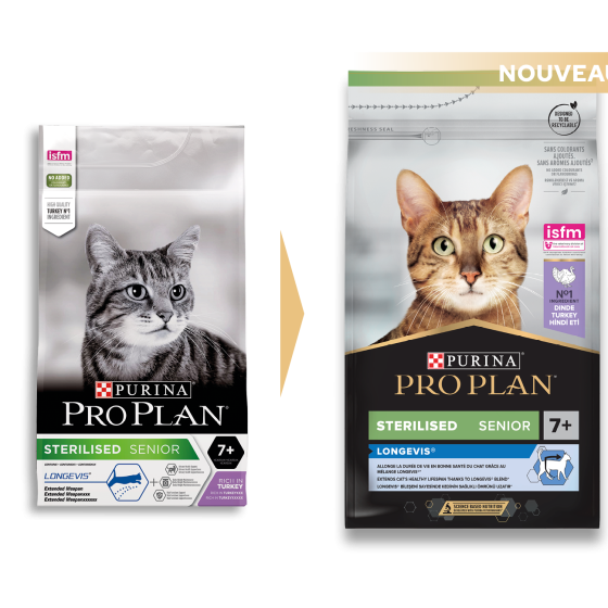 14956-PACKS_CHAT_ANCIEN-NOUVEAU_2022_ 16_7613034989642.png