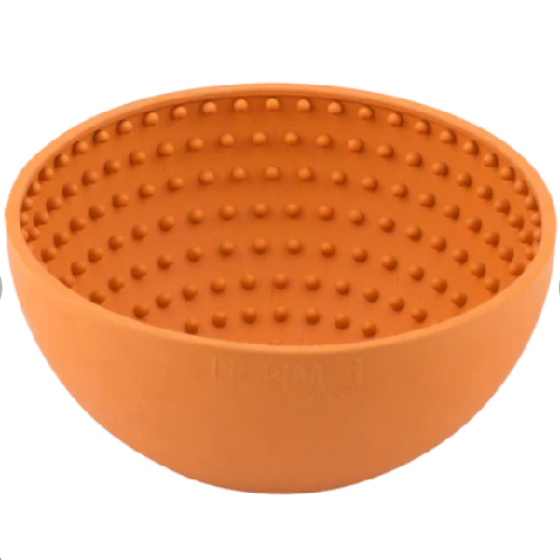 beagle 1.png