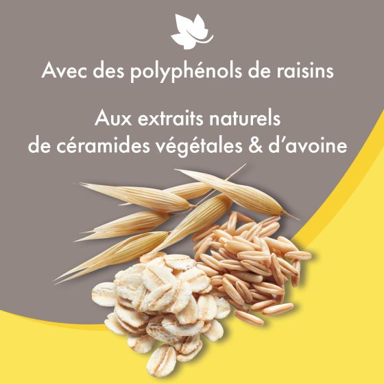 Sans titre-6.png