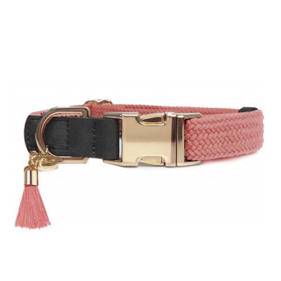 Colliers pour chien originaux : Vieux Rose, Kaya