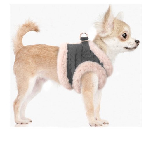 Harnais Eleonore petit chien, confort Maximum, Chihuahua