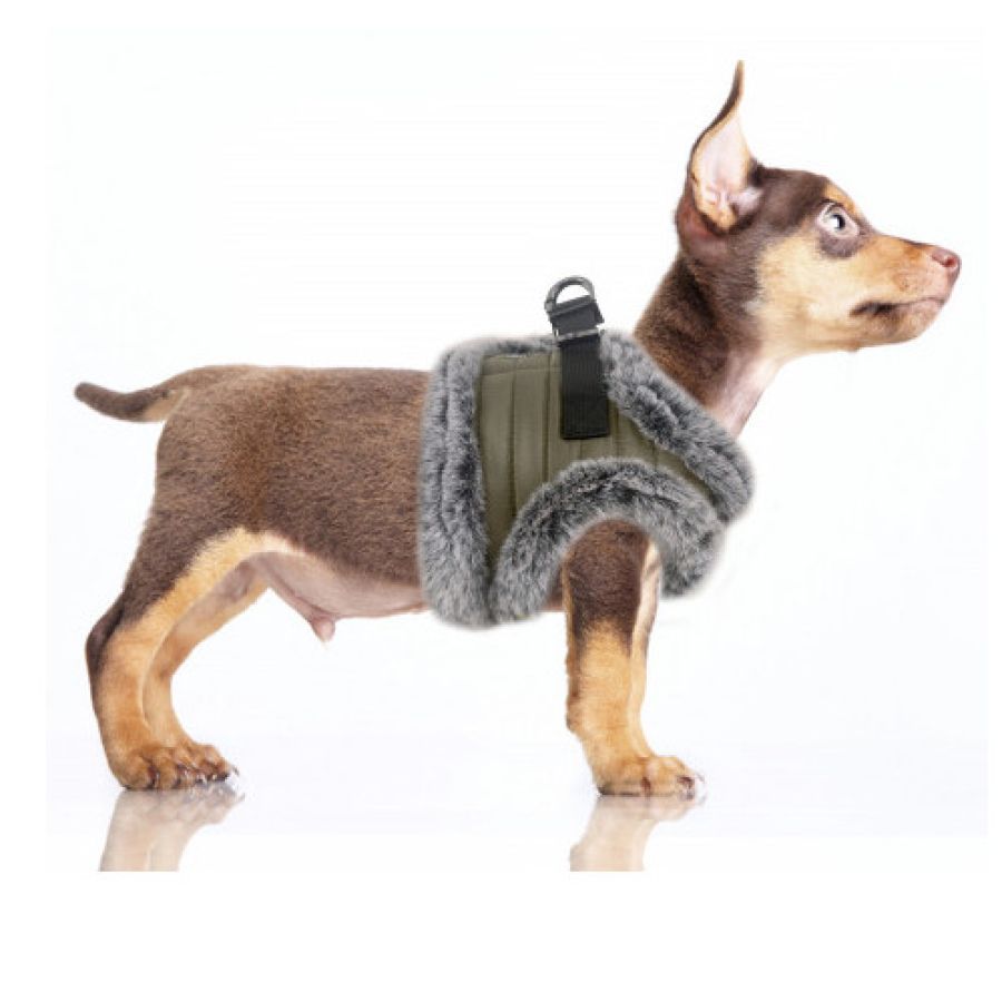 Harnais petit chien, Felix, chaud, confortable