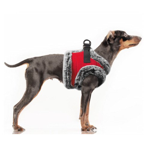 Harnais chaud pour petit chien, Markus, douillet