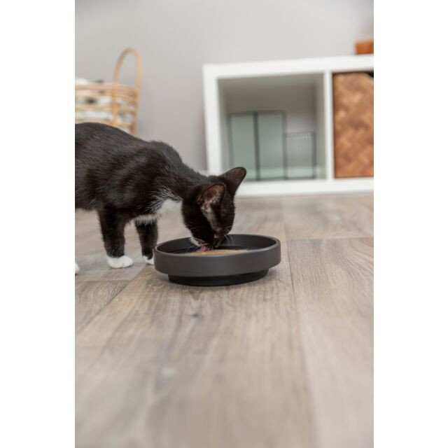 Soupe pour chat liquide, hydratation, Saumon Poulet, Taurine