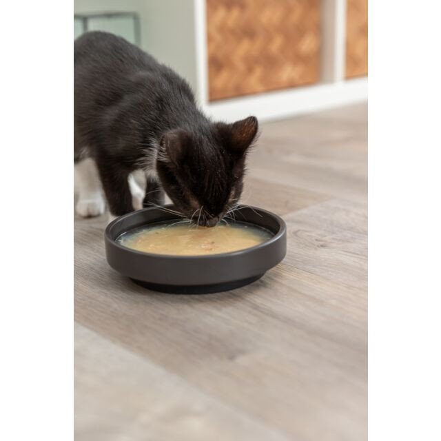 Soupe pour chat liquide, hydratation, Saumon Poulet, Taurine