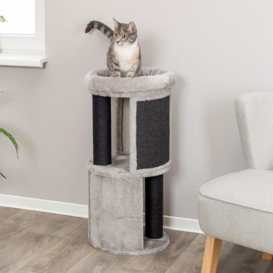 Arbre a chat Tour, Panier douillet, Original, Giorgia