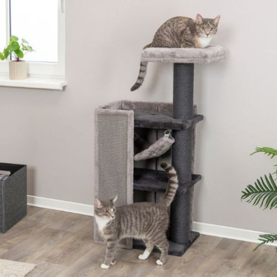 Grand Arbre à chat : avec hamac, Design, Arianna