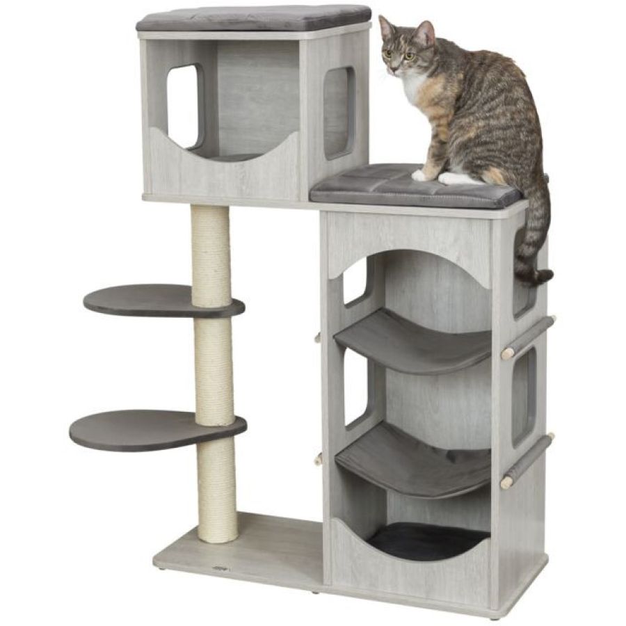 Arbre à chat solide, Hamac, XXL, coussin,  Adriano