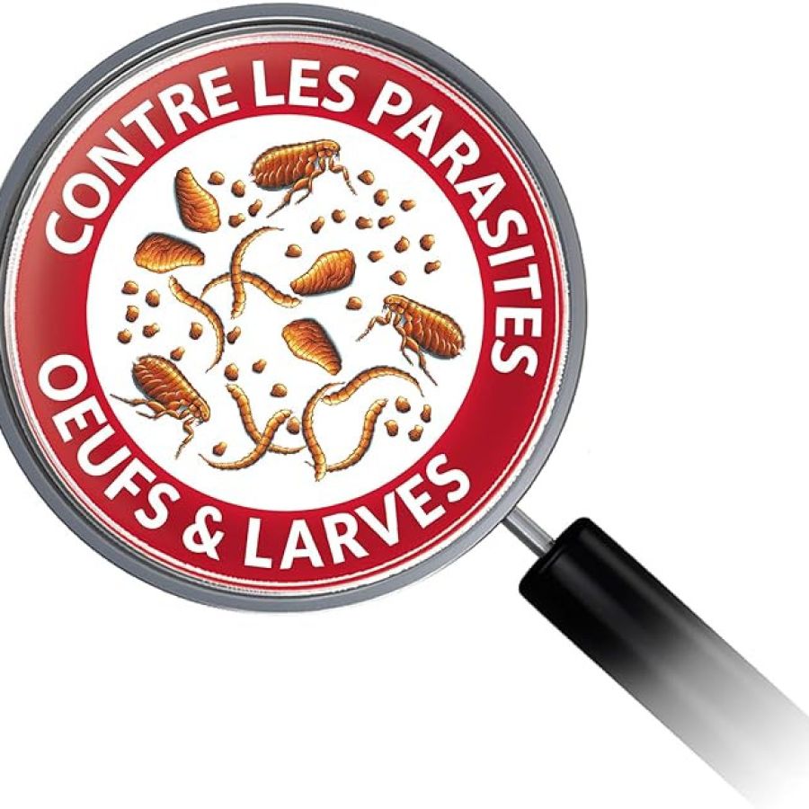 spray parquet (3).png