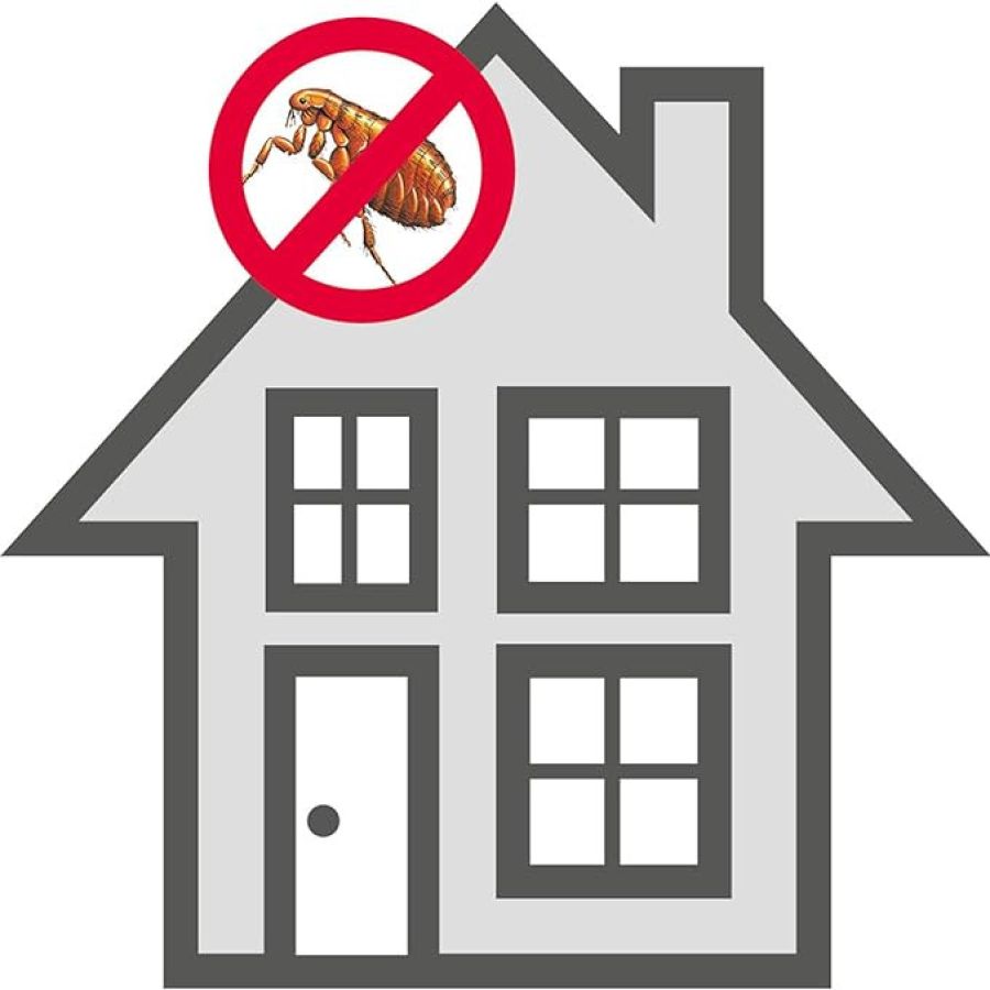 spray parquet (3).png