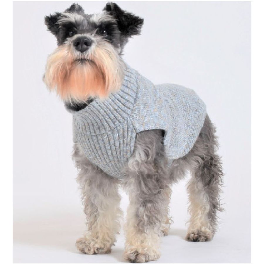 Pull Today doux pour chien, Chic & Douillet