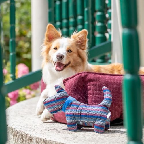 Panier, Lit petit et gros chien XXL, couchage Talis Baie