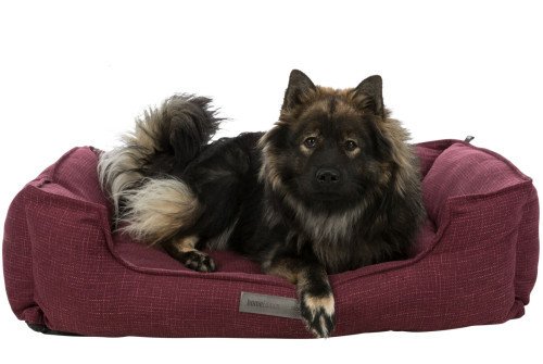 Conseil d'achat : panier gros chien XXL