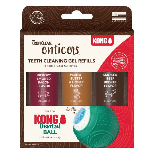 Kit KONG dental balle