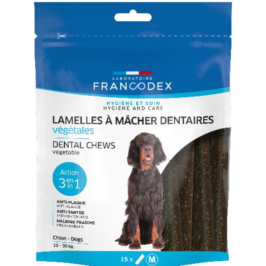 Lamelle à mâcher dentaire