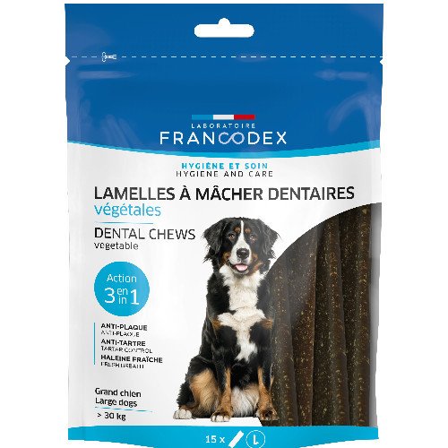 Lamelle à mâcher dentaire