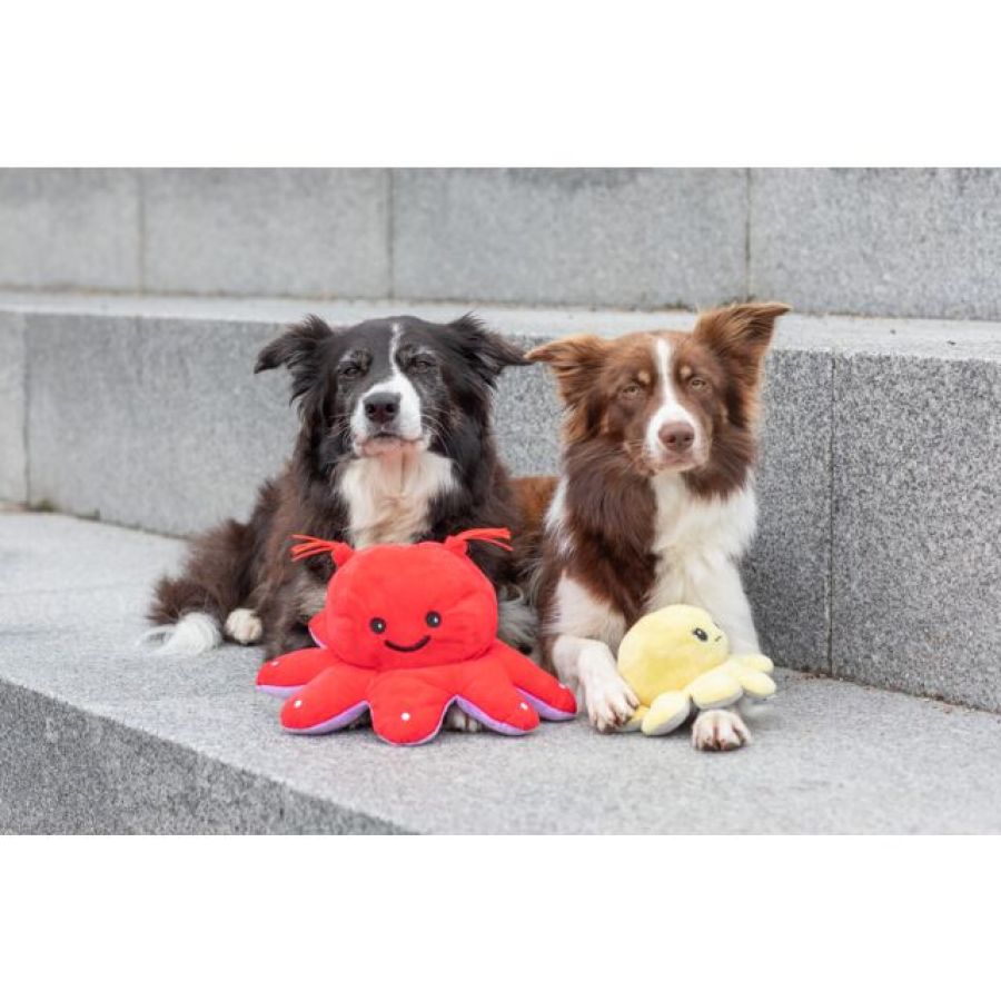 Jouet peluche réversible, Pieuvre doudou chiot