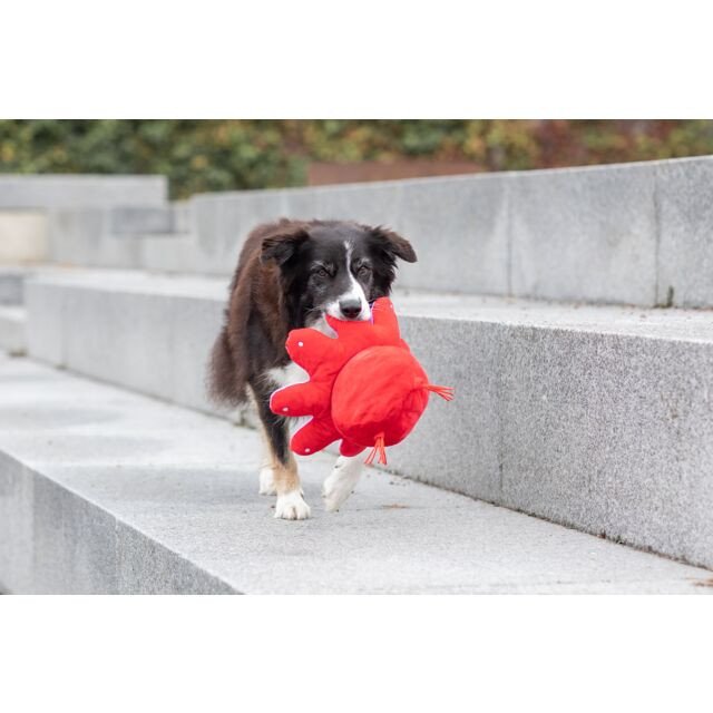 Jouet peluche réversible, Pieuvre doudou chiot