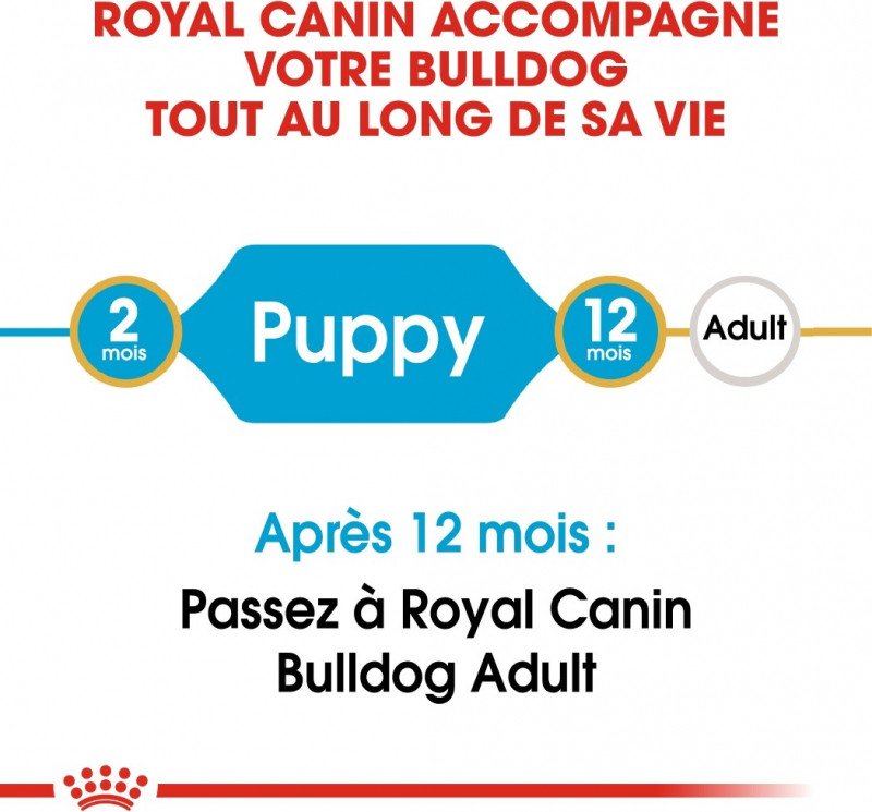 Royal Canin Croquettes Bouledogue Anglais puppy