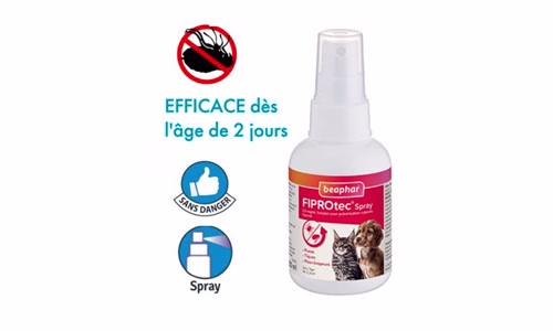 Conseil d’achat : Spray pour éliminer les puces sur le chat