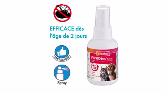 Conseil d’achat : Spray pour éliminer les puces sur le chat
