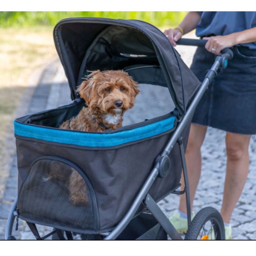 Poussette pour chien tout terrain