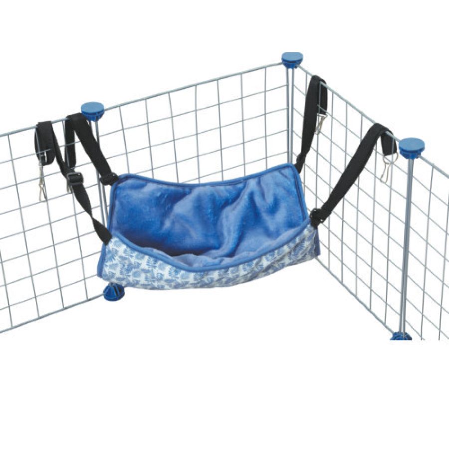 Hamac cochon d’Inde