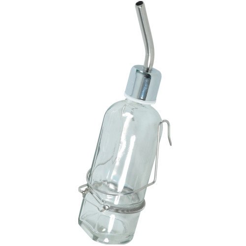 Biberon cochon d’Inde verre