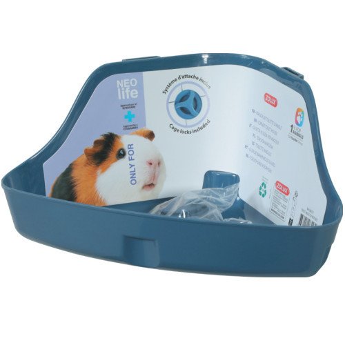 Toilette d’angle cochon d'Inde