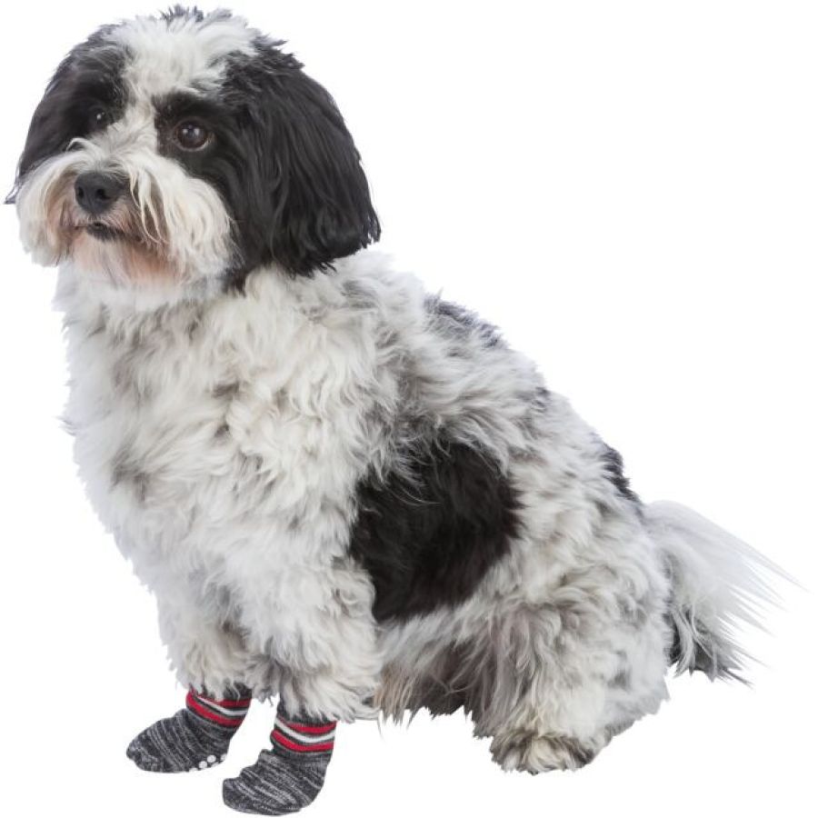 Chaussettes Trixie chien