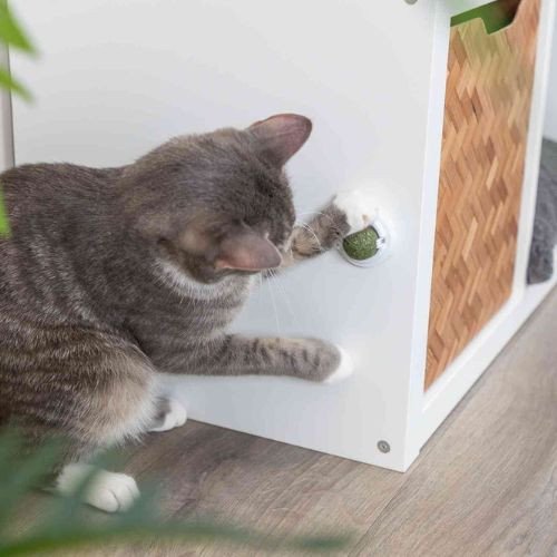 Balle herbe à chat, fixation surface lisse