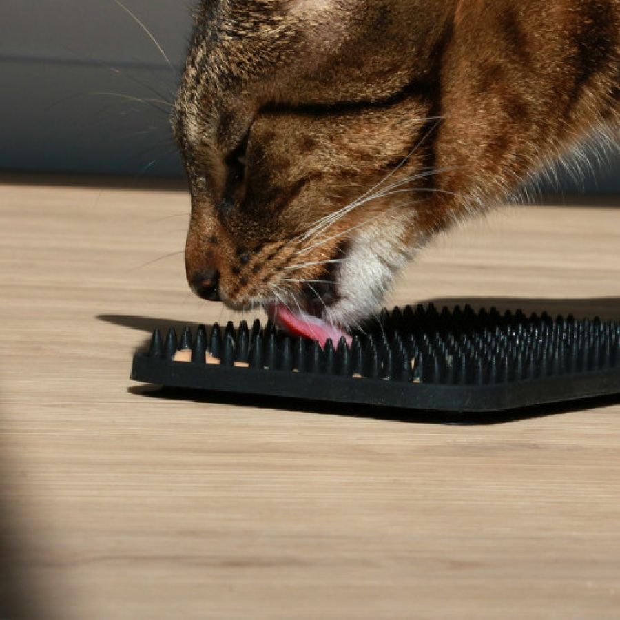 Tapis de léchage ventouse pour chat Lex