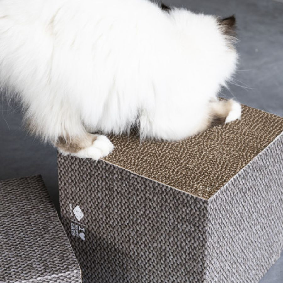 Griffoir carton hauteur différente FREYA