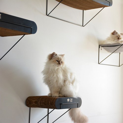 Griffoir mural en carton David