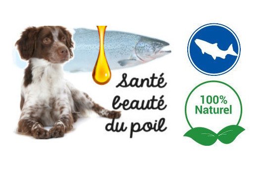 Huile de poisson pour chien ! Quel poisson ! Pour quel bienfait !