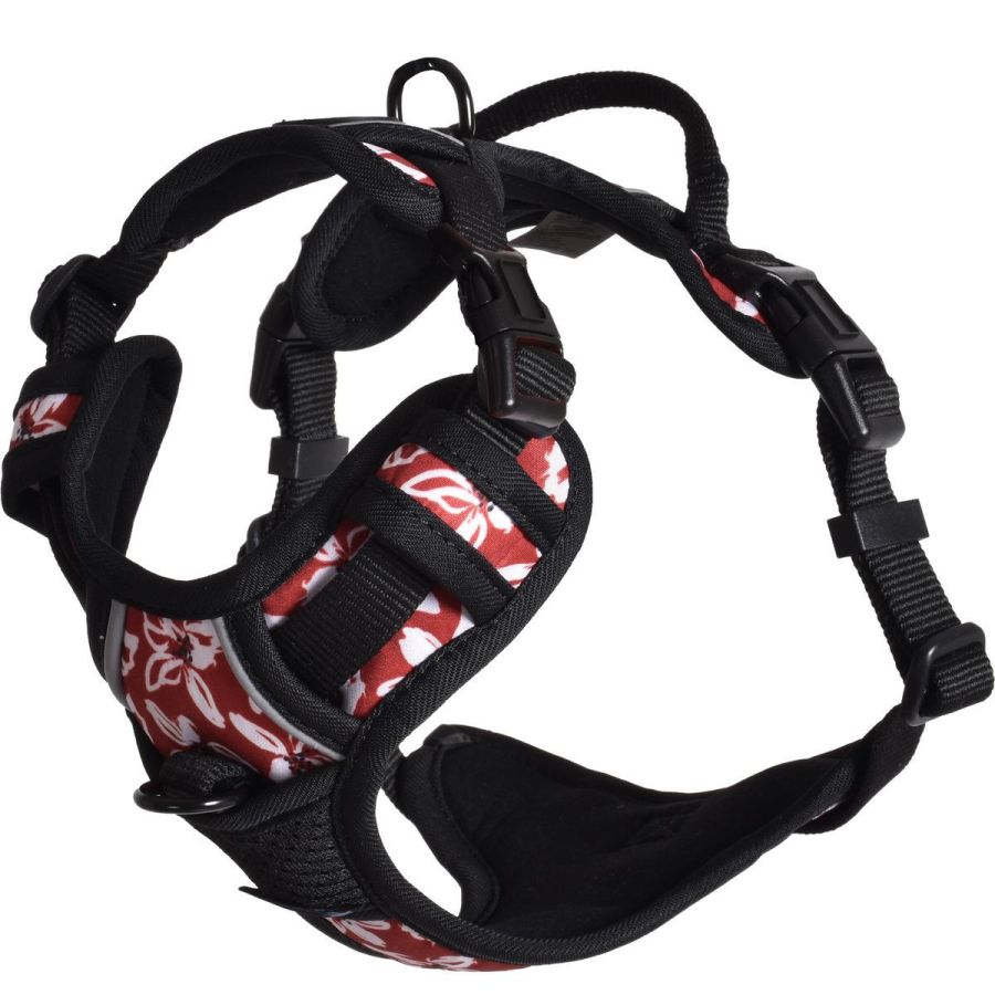 Harnais Anti-traction pour chien Rando Monoi Bordeaux