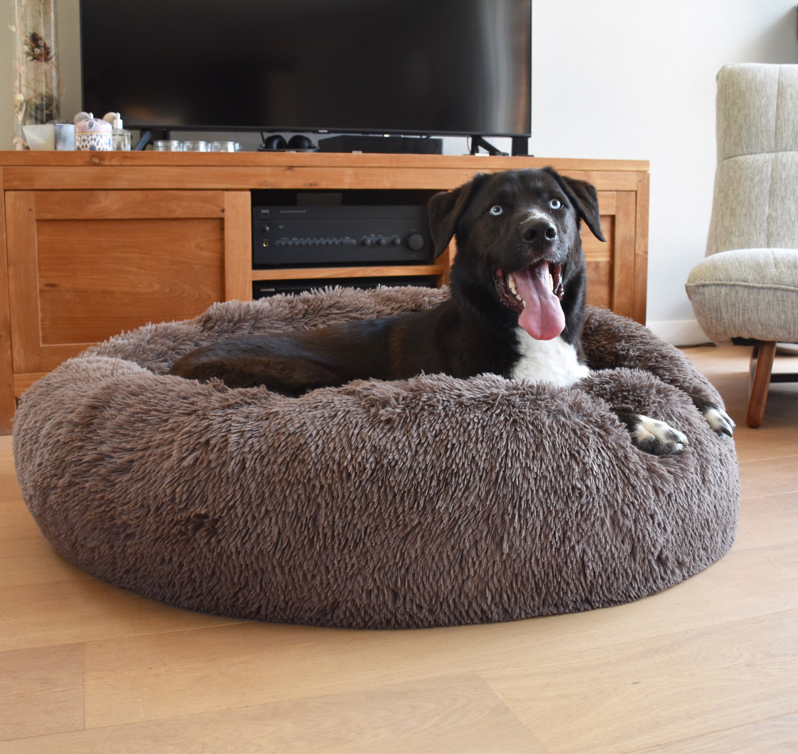 Coussin apaisant chien chat Donut Poilu - VISON