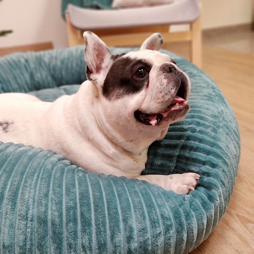 Donut Hygge anti stress - VERT AQUA