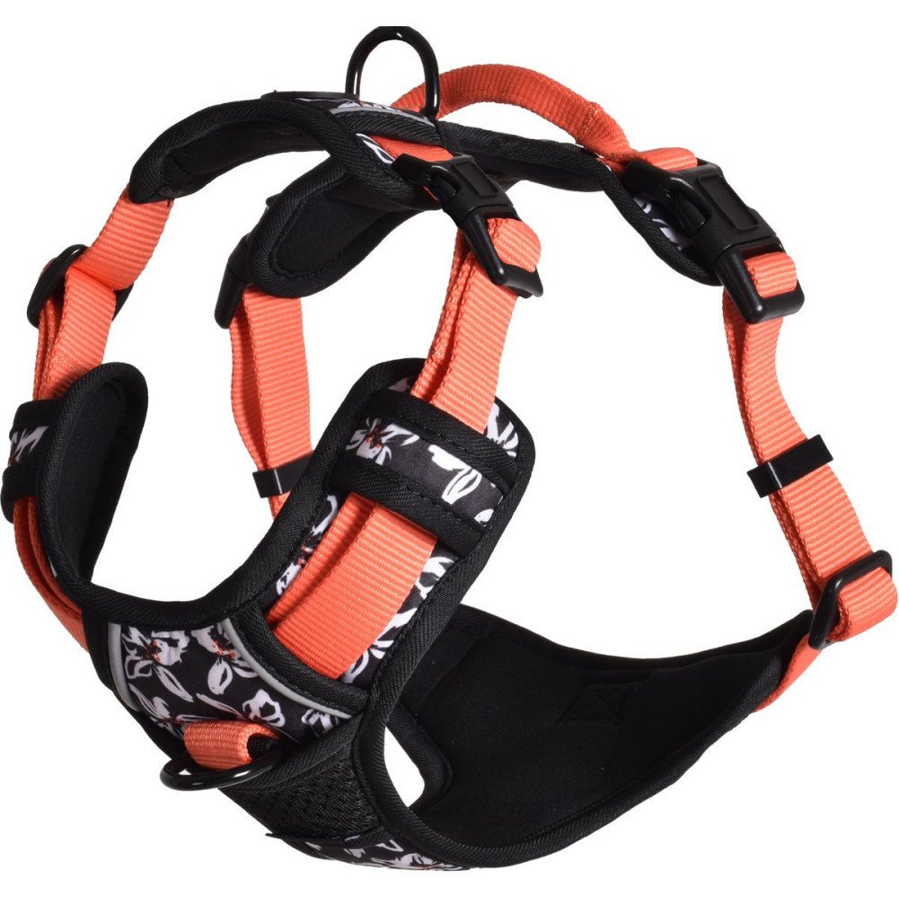 Harnais Maine Coon,  anti fuite, confort articulaire Rando Monoï
