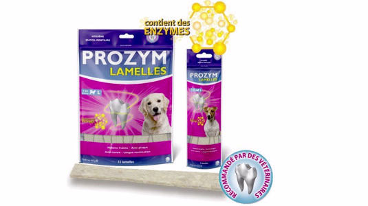Existe-t-il une friandise vraiment efficace contre le tartre ?
