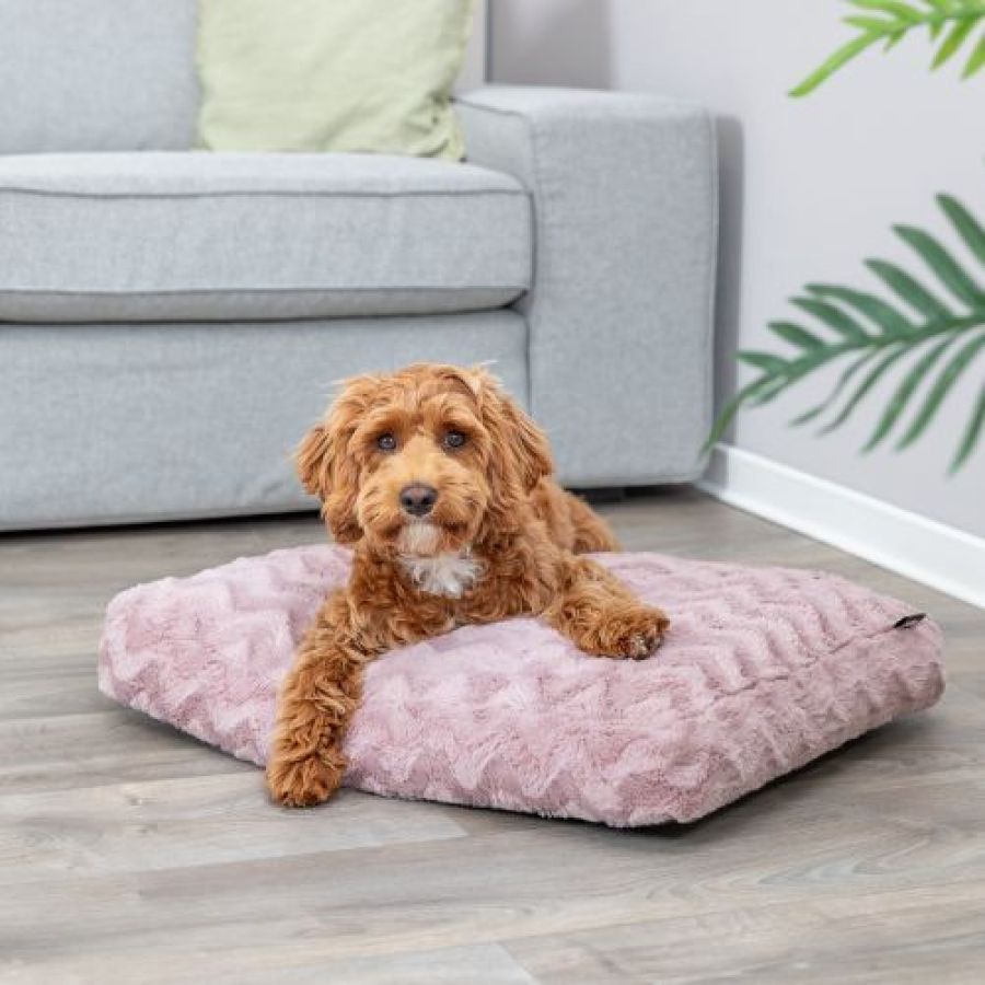 Coussin orthopédique, mémoire de forme, déhoussable Loki