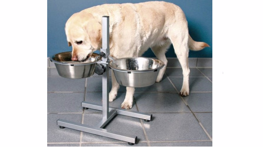 À quelle hauteur surélevée la gamelle de son chien ?