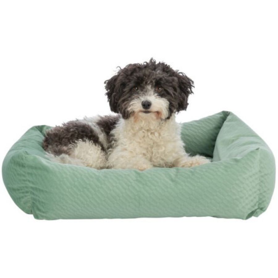 Lit Alena pour chien Sauge