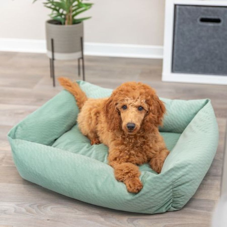 Lit Alena pour chien Sauge