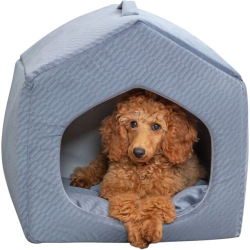 Abri Alena pour chien